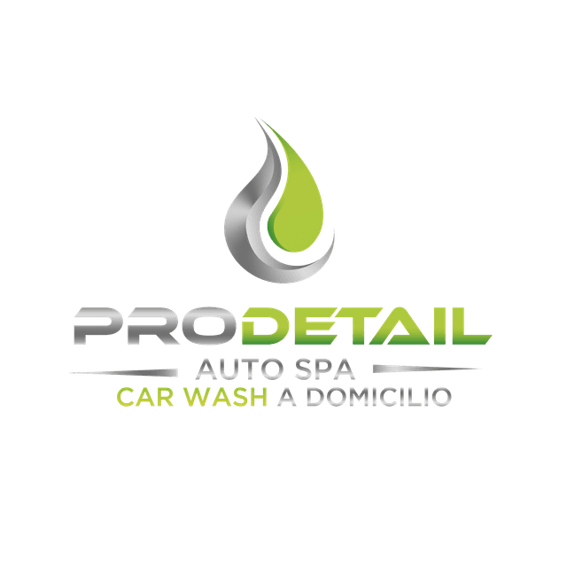 Pro Detail Auto Spa